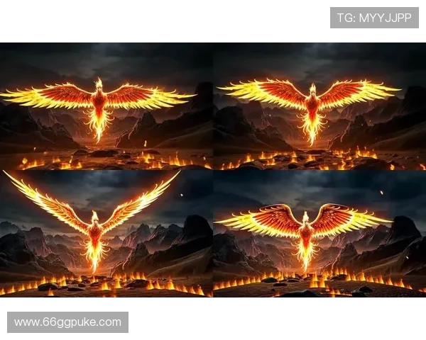 凤凰涅槃，直播新生：探索凤凰直播的独特魅力